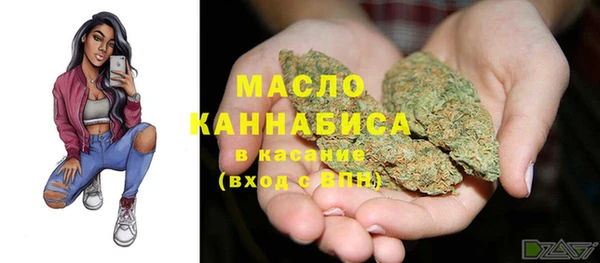 соль ск Алексин