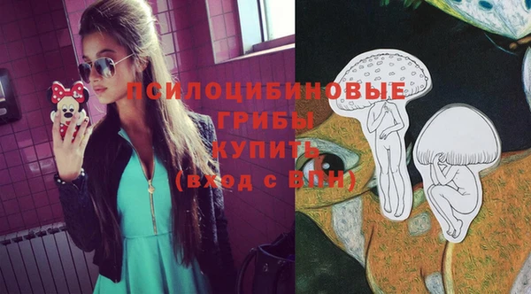 Альфа ПВП Алзамай