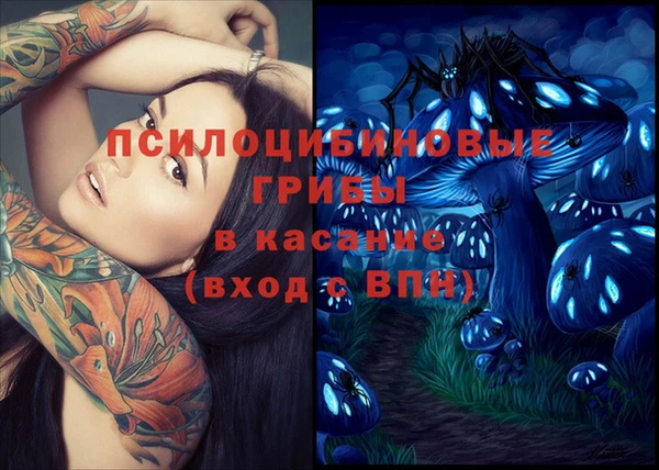 соль ск Алексин