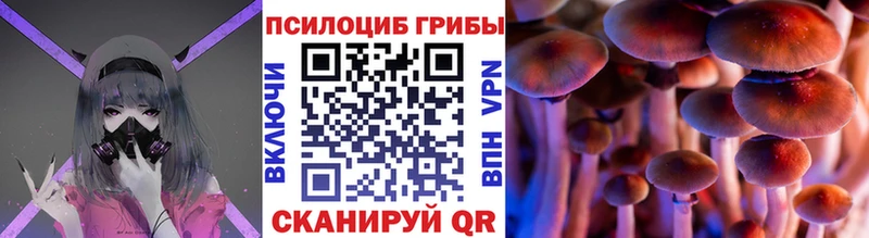 Галлюциногенные грибы MAGIC MUSHROOMS  Купить  Тольятти 
